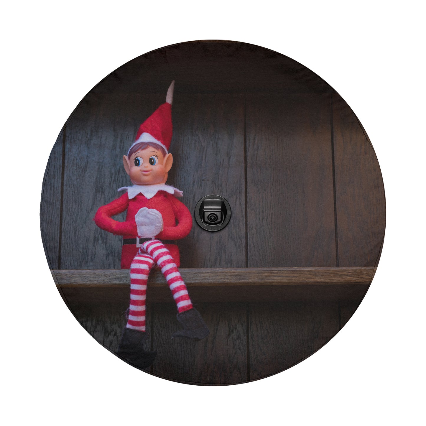 a picture of an elf sitting on a shelf