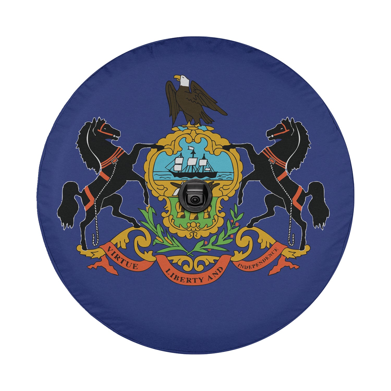 a blue frisbee with a picture of a bird on top of it