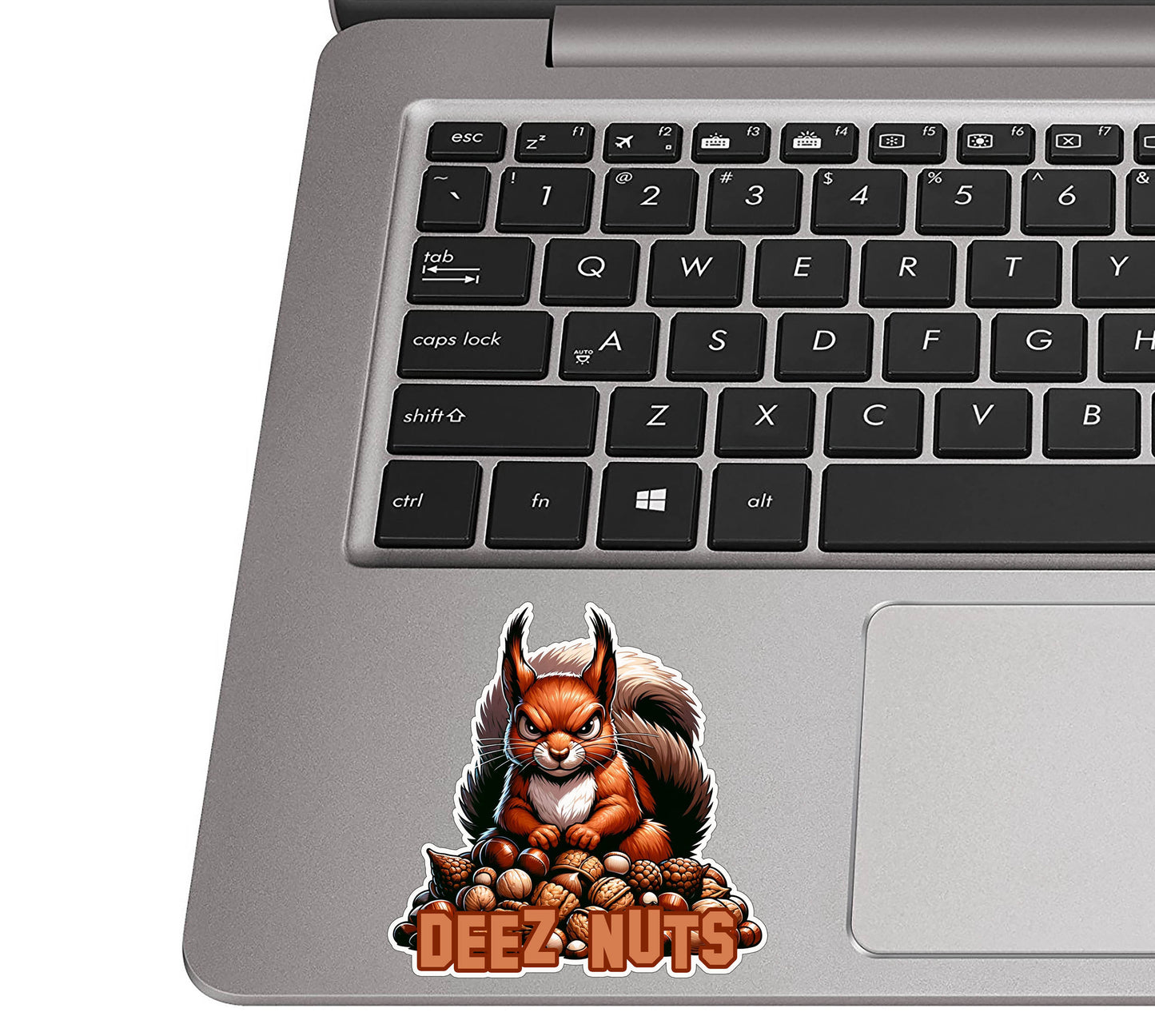 Deez Nuts! Angry Red Squirrel Standing Atop a Pile of Nuts Vinyl Sticker