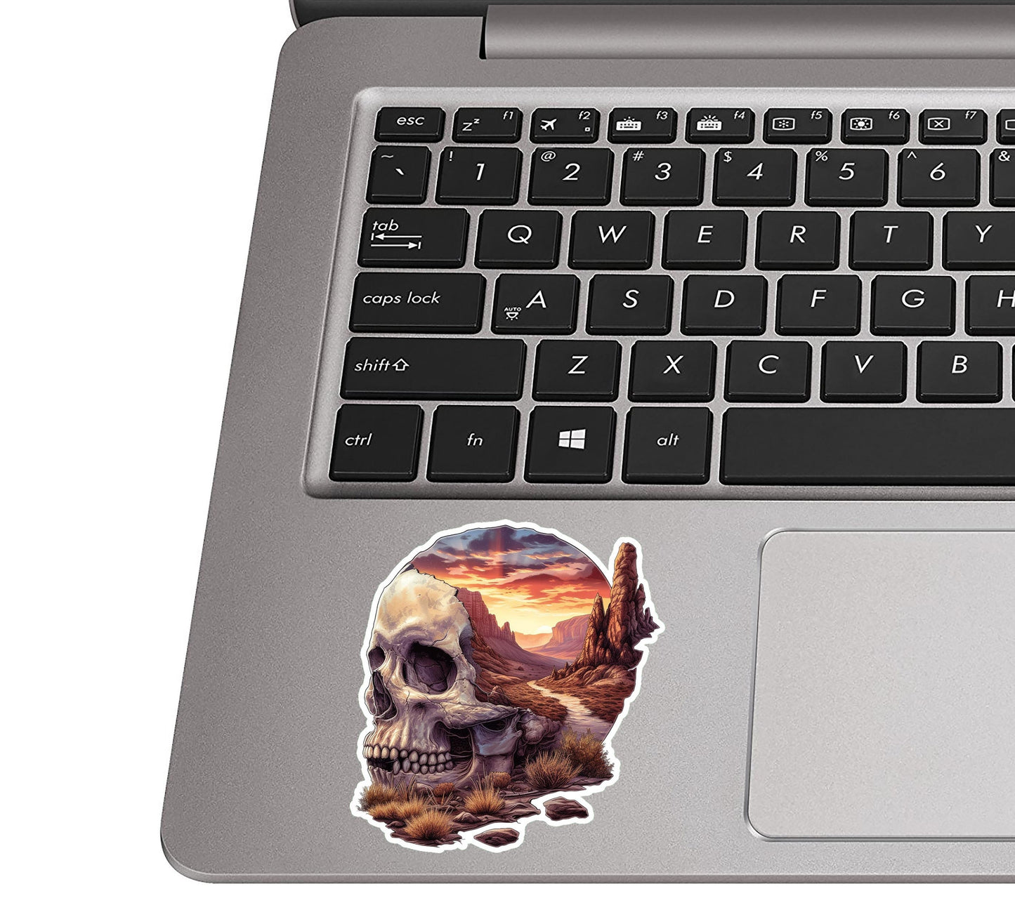 Death Valley Skull Basin Vinyl Sticker Desert Travel Decal for Laptop Water Bottle Car Suitcase Camping Gift