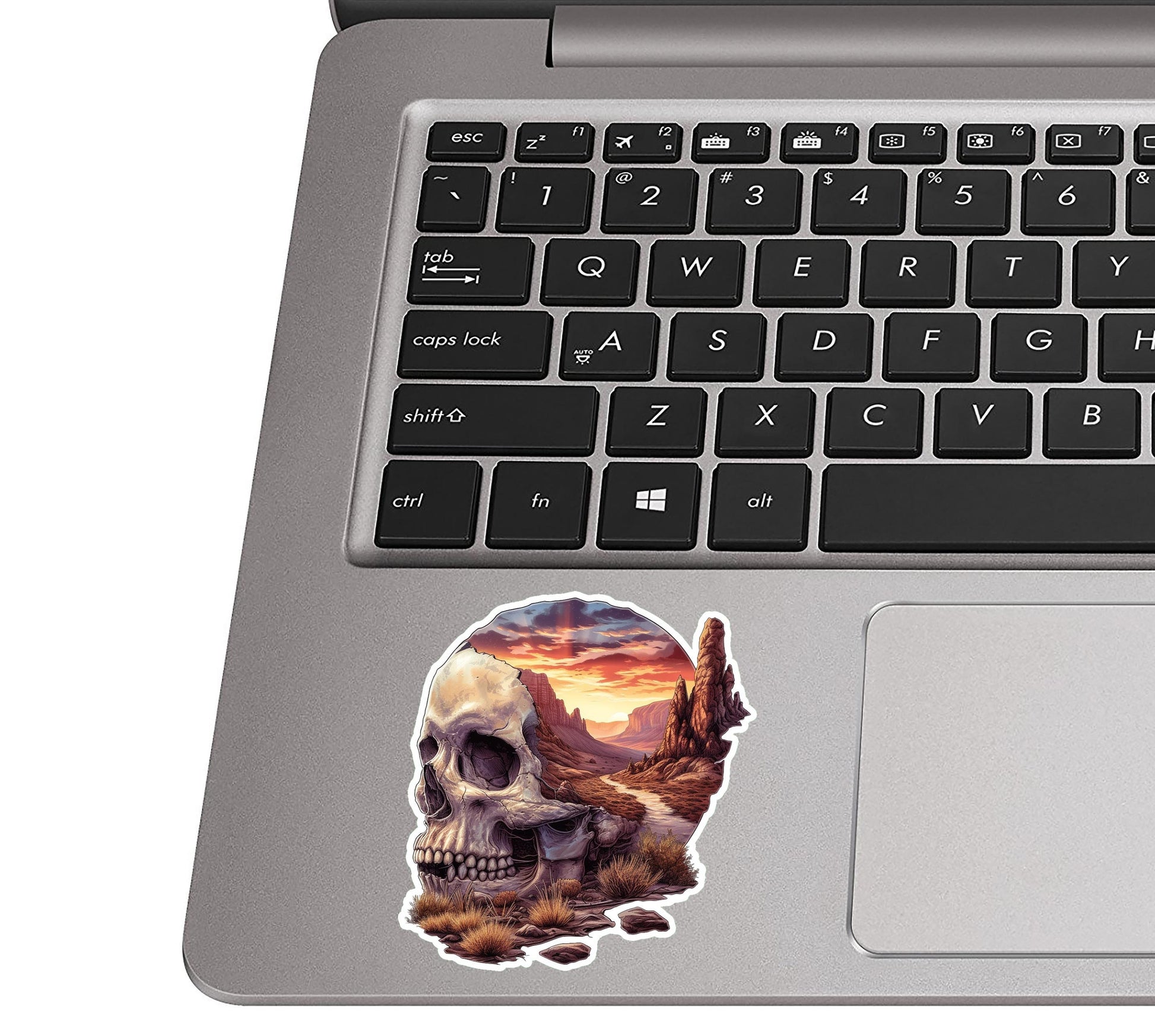 Death Valley Skull Basin Vinyl Sticker Desert Travel Decal for Laptop Water Bottle Car Suitcase Camping Gift