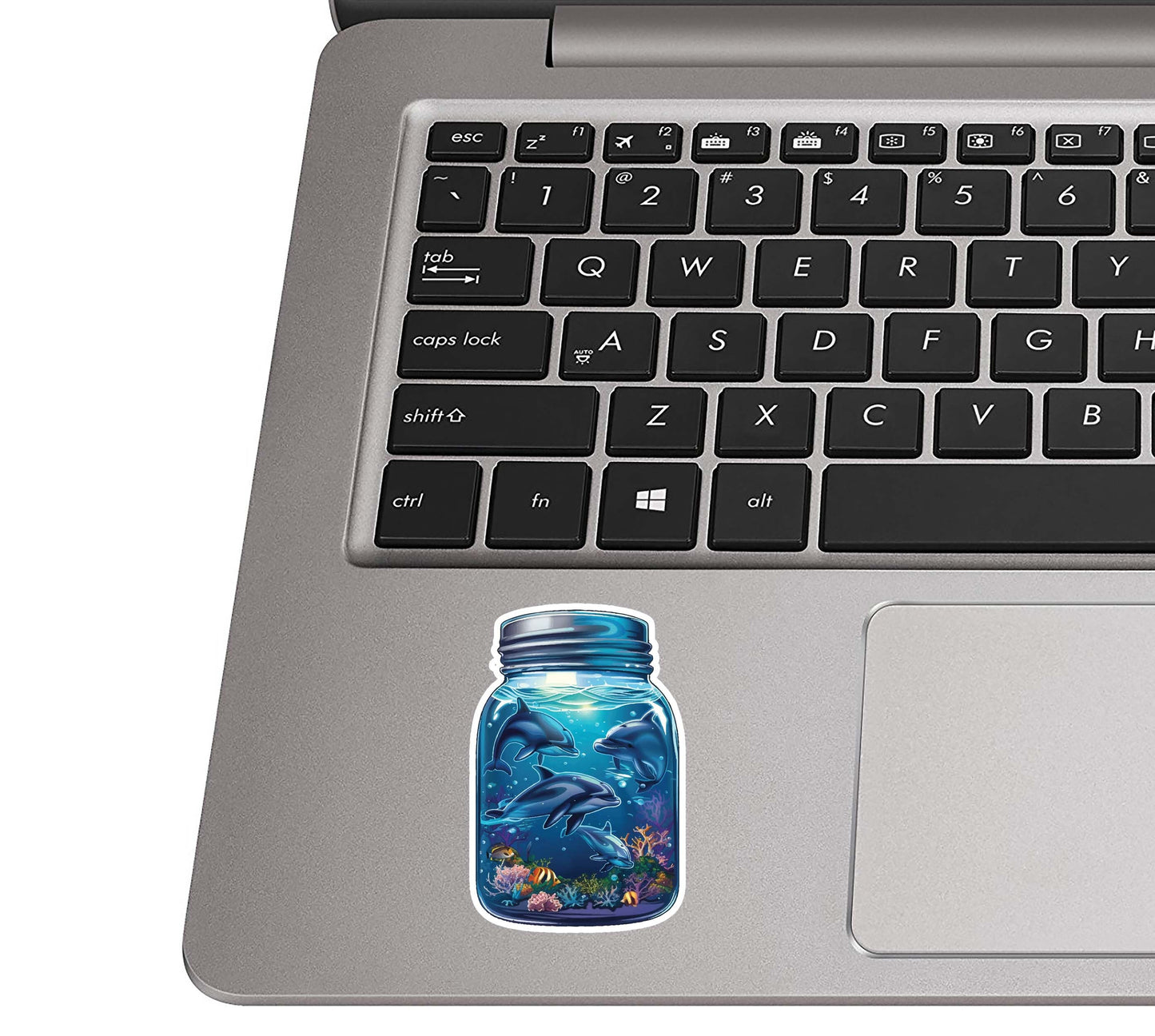 Bottled Dolphin Dance Vinyl Sticker Ocean Aesthetic Decal for Laptop Car Water Bottle Suitcase Beach Lover Gift