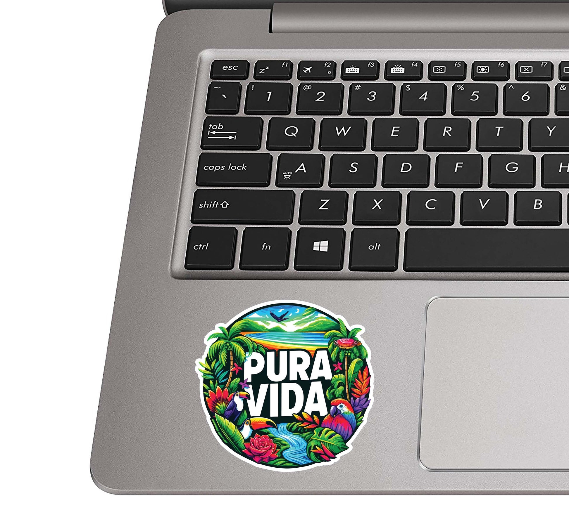 Pura Vida Parrot Tropical Paradise Vinyl Sticker for Suitcase Laptop Car Water Bottle Cute Travel Gift Durable Design