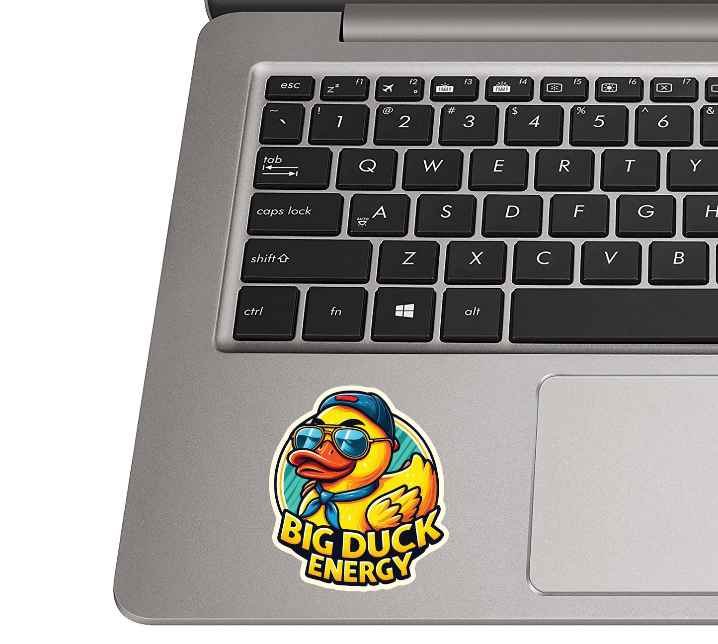 Big Duck Energy Sunny Shades Baseball Hat Vinyl Sticker for suitcase, laptop, car or water bottle, luggage tag, travel gift