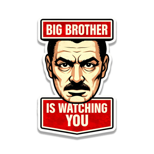 Orwell Big Brother is Watching You Vinyl Decal Funny Political Sticker Dystopian Bumper Decal Free Speech Anti Tyranny Orwellian Gift