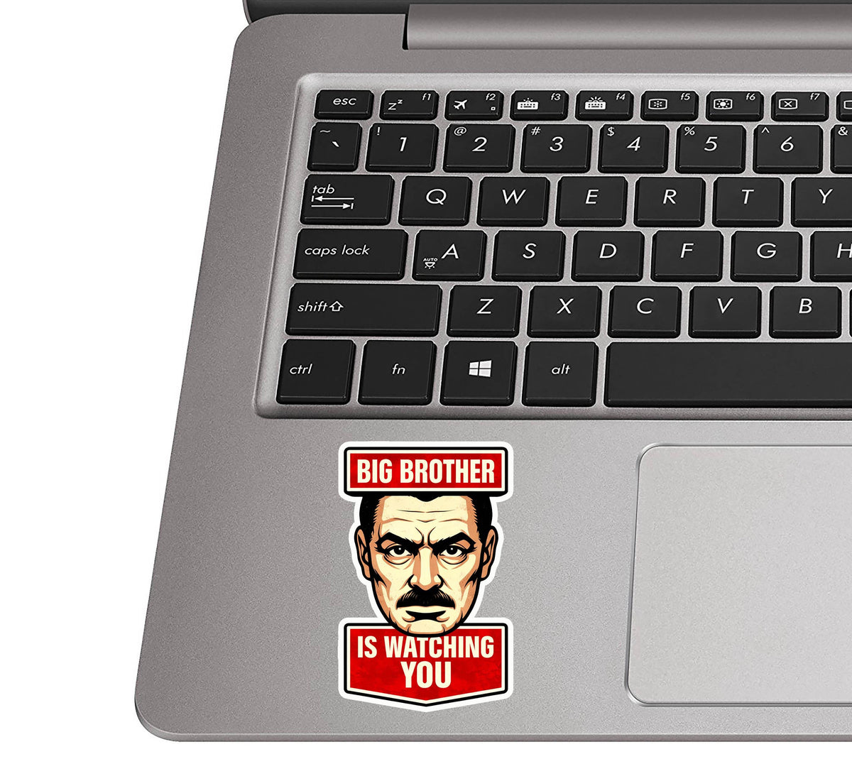 Orwell Big Brother is Watching You Vinyl Decal Funny Political Sticker Dystopian Bumper Decal Free Speech Anti Tyranny Orwellian Gift