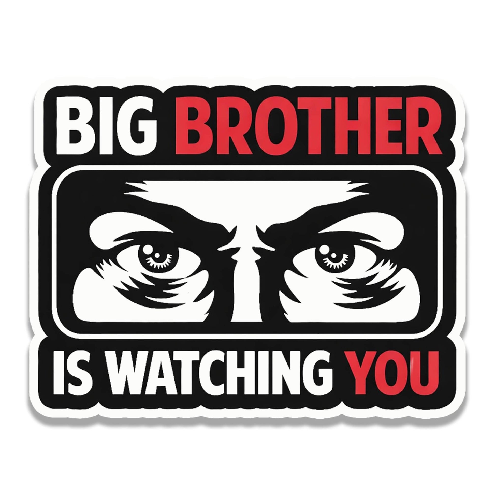 Big Brother is Watching You Vinyl Decal Funny Political Sticker Dystopian Bumper Decal Free Speech Anti Tyranny Orwellian Gift