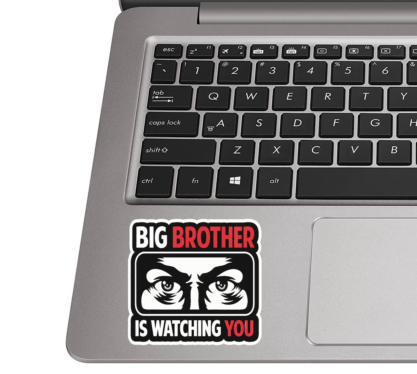 Big Brother is Watching You Vinyl Decal Funny Political Sticker Dystopian Bumper Decal Free Speech Anti Tyranny Orwellian Gift